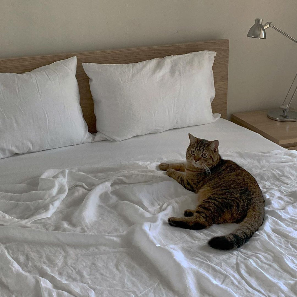 The Art of Layering: Transition Your Bedding from Summer to Fall