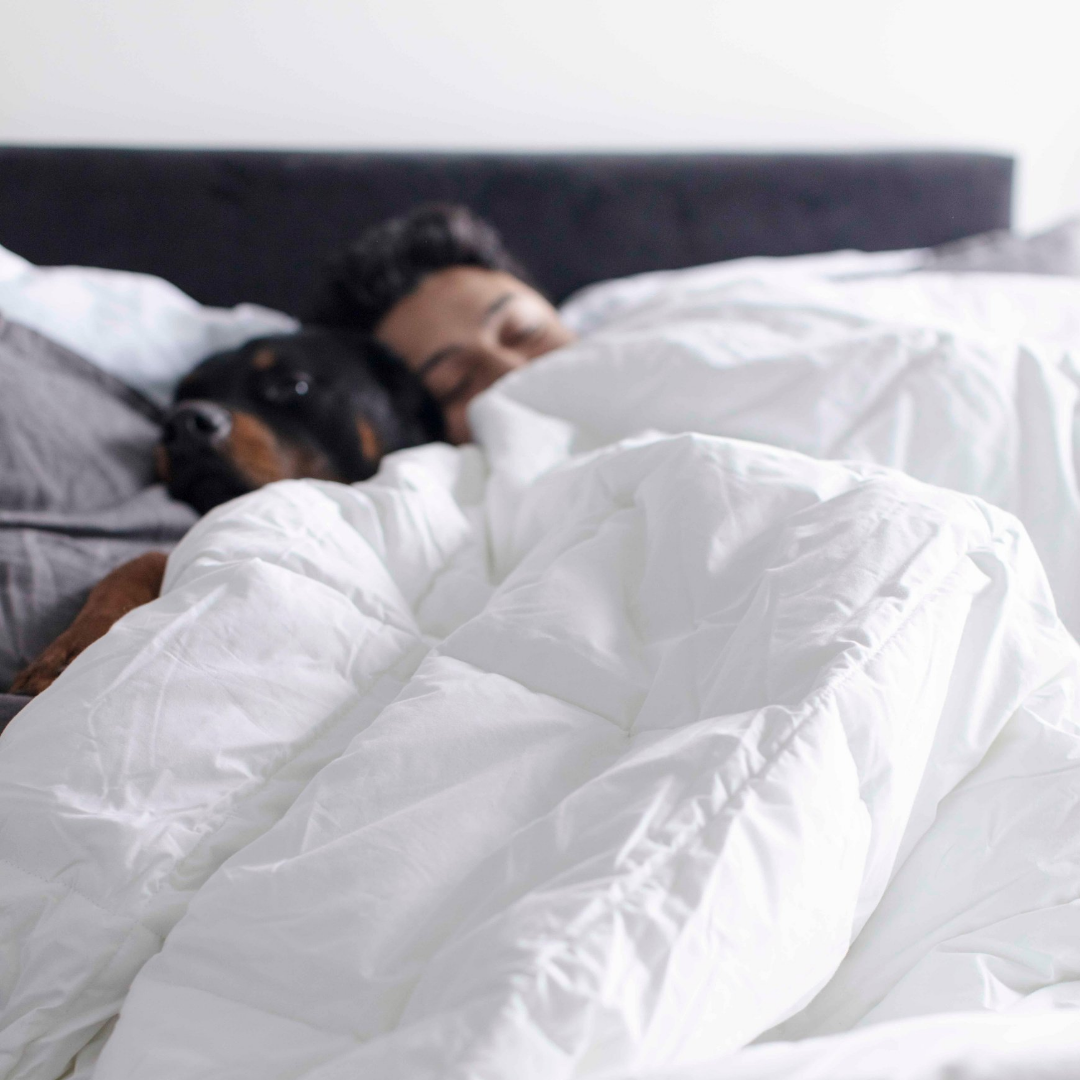 10 Tips To Stay In Bed