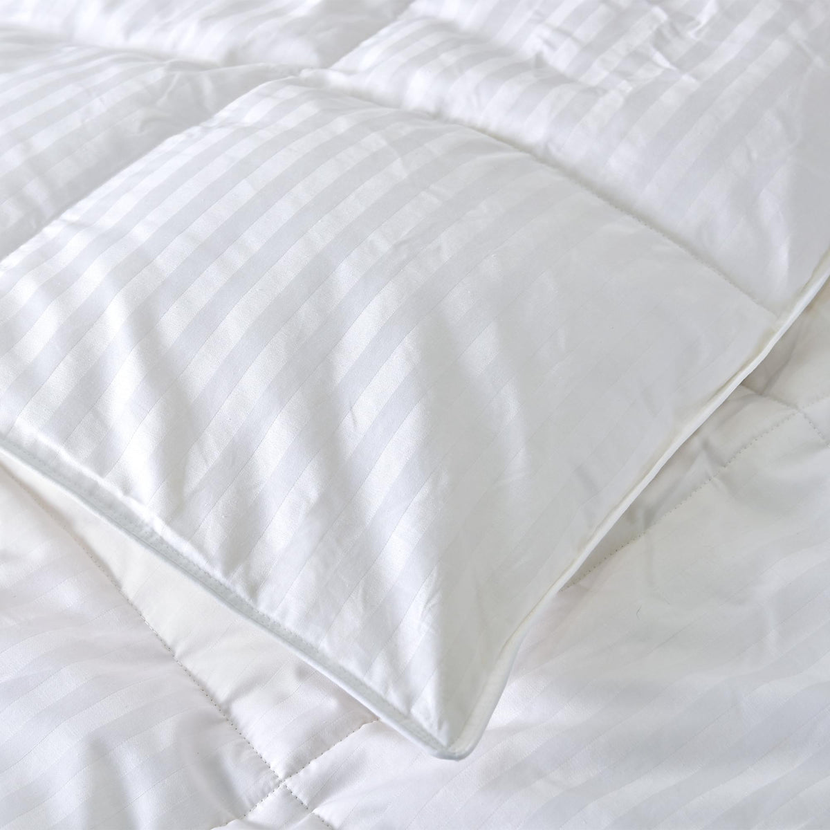 Prestige Cotton Goose Down Duvet - NLS.